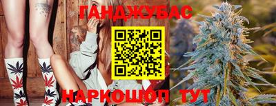 стаф Малгобек