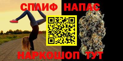 стаф Малгобек