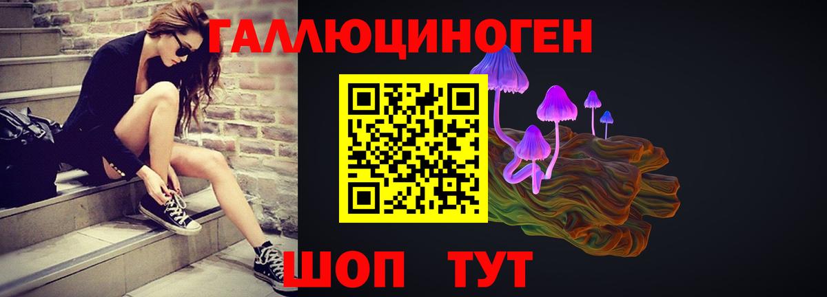 Галлюциногенные грибы Psilocybine cubensis  Вход с VPN  Шадринск 